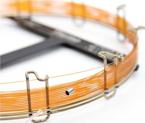 Thermo Scientifc  GC 色谱柱 TRACE-TR 